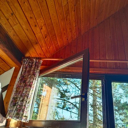 In-The-Middle-Of-Nature Spacious Nest Brandenburg Airport 베를린 외부 사진