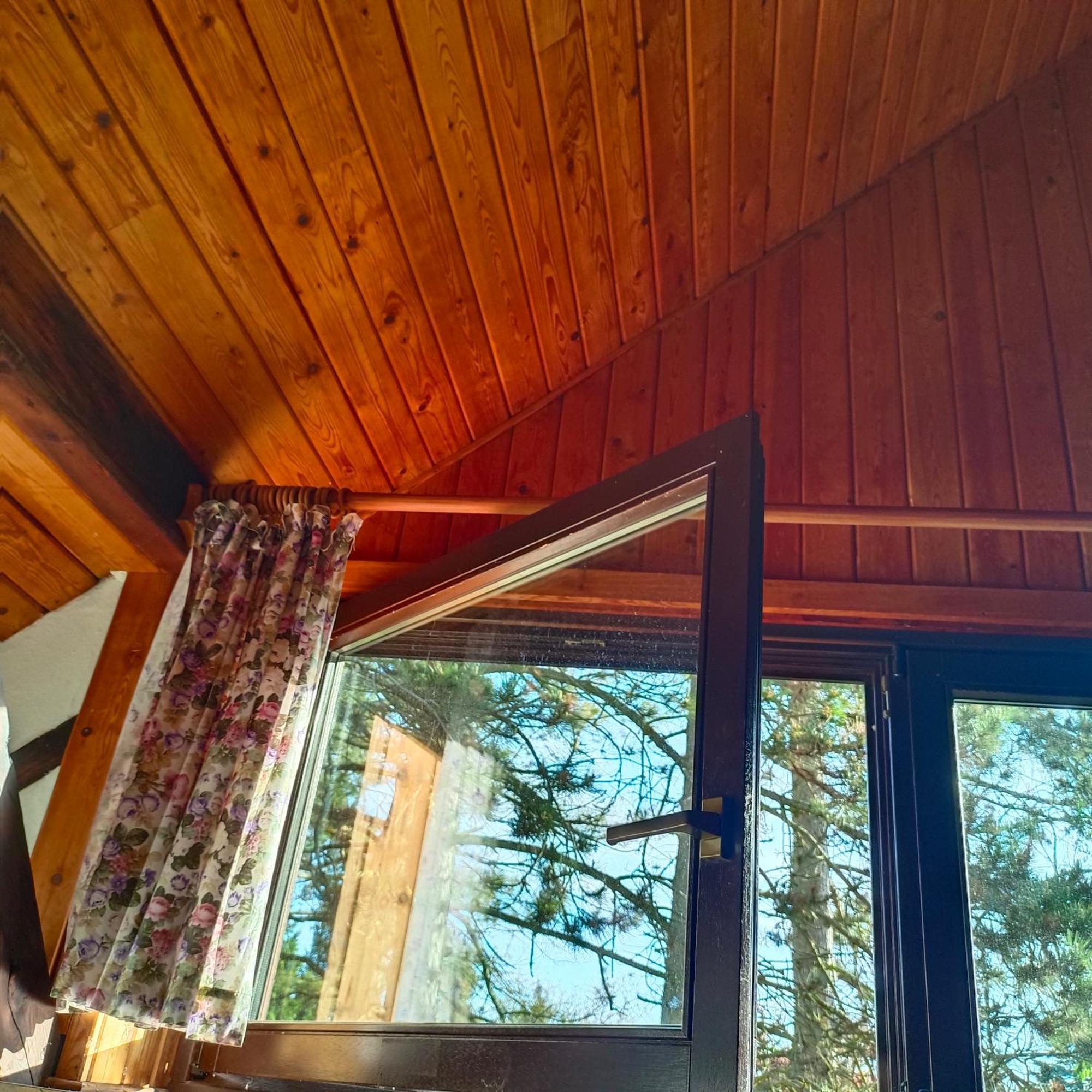In-The-Middle-Of-Nature Spacious Nest Brandenburg Airport 베를린 외부 사진